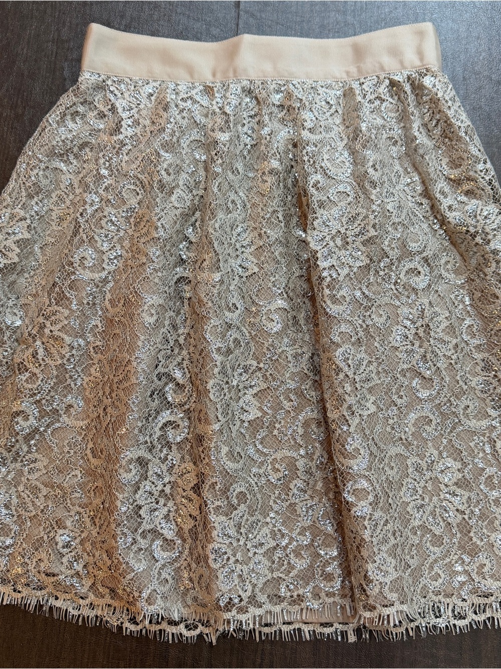 J.Crew Taupe Metallic Silver Overlay Lace Skirt Size 4